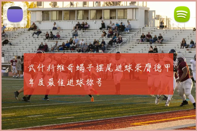 武什科维奇蝎子摆尾进球荣膺德甲年度最佳进球称号