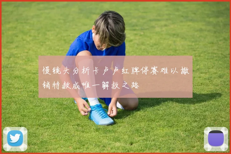慢镜头分析卡卢卢红牌停赛难以撤销特赦成唯一解救之路