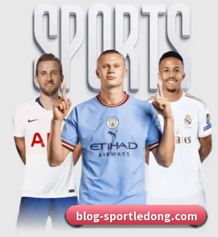 坚持做好基础的事 - LDSPORTS