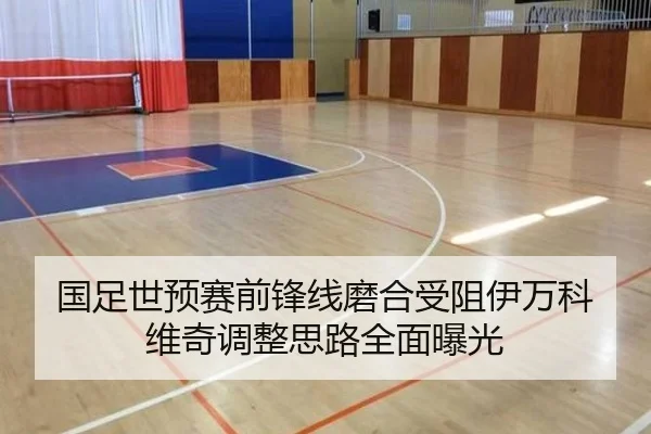 国足世预赛前锋线磨合受阻伊万科维奇调整思路全面曝光 - LDSPORTS
